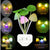 LED SMALL NIGHT LIGHT
